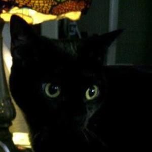 Meet your Posher, Lucy